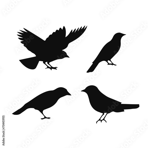 Vector Collection of Bird Silhouettes