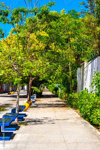 Fototapeta Naklejka Na Ścianę i Meble -  Pedestrian walkway under tropical palm trees Playa del Carmen Mexico.