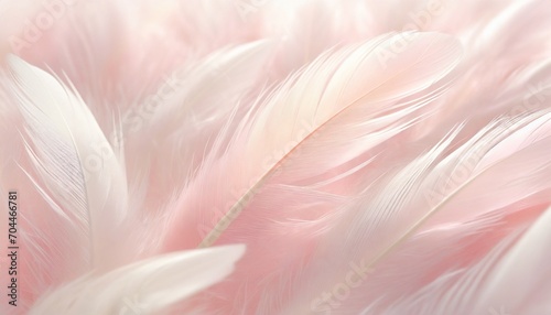 soft pink feathers texture background swan feather © Enzo