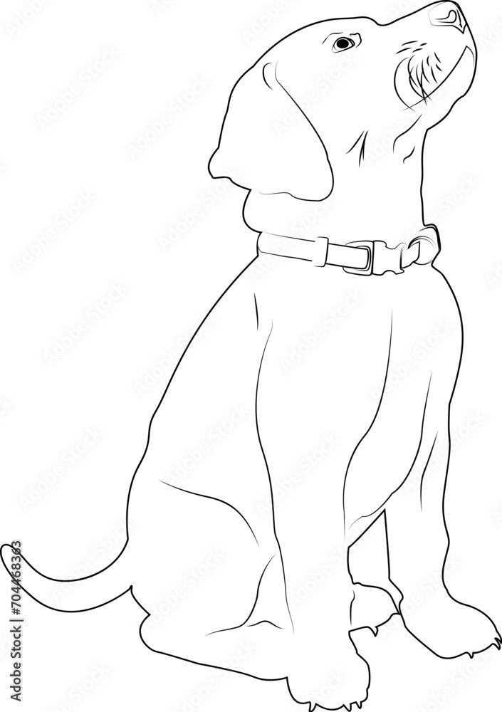 Obraz premium Silhouette dog drawn in pencil. Dog in a collar on a white background. Design of greeting cards, posters, patches, prints on clothes, emblems. Puppy. Pet.
