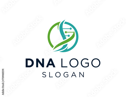 The logo design is about DNA and was created using the Corel Draw 2018 application with a white background. photo