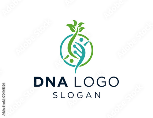 The logo design is about DNA and was created using the Corel Draw 2018 application with a white background. photo