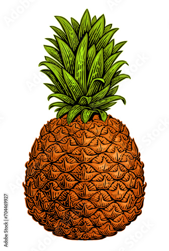 Pineapple isolated on white background. Summer tropical fruit. Colorful vector illustration