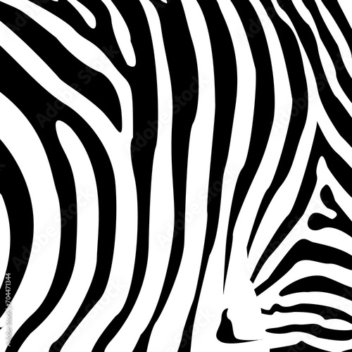 Zebra pattern. Striped leather  linear pattern. Tiger pattern. Design of greeting cards  posters  patches  prints on clothes  emblems. Abstract pattern  line background  fabric.