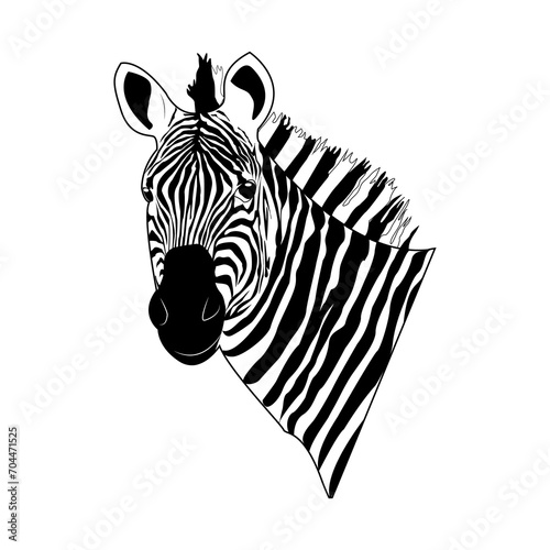 Zebra head. Zebra. Striped horse  African savannah animal  striped skin  linear pattern. Wild animal  cute character. Design of greeting cards  posters  patches  prints on clothes  emblems.