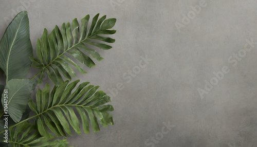tropical leaves on a gray background photo wallpaper with leaves fresco for the interior wall decor in grunge style painted green leaves photo wallpapers 3d