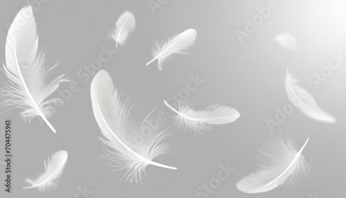abstract white bird feathers falling in the air floating feathers softness of feather on gray background photo
