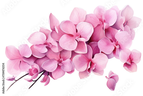 Pink orchid petals watercolor illustration isolated. Postcards and greeting cards design.