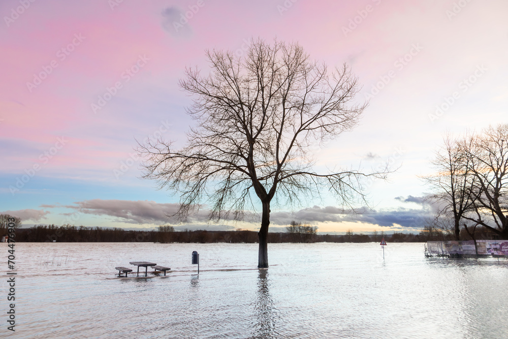 flooded bench at river Rhine in Eltville, Germany in sunset mood