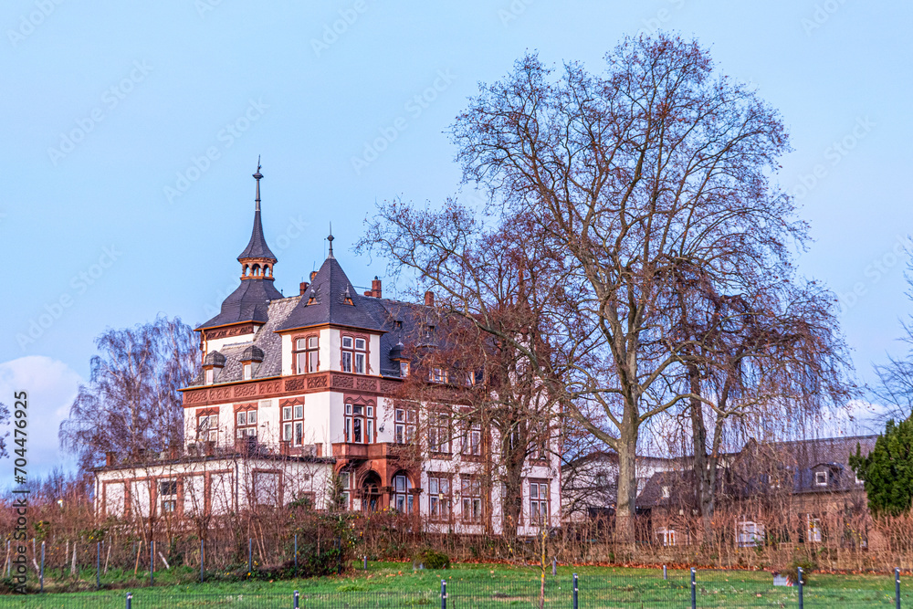 view to old villa in the Rheingau area in Eltville, Germany