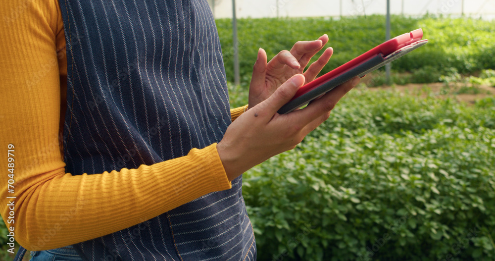 Close up of woman's hands using digital tablet on farm, greenhouse tunnels