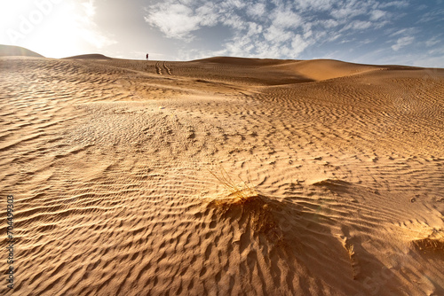 Landscape of Erg Admer in the Sahara desert, Algeria. A view of the dunes and furrows dug by the wind in the sand. In the distance, a silhouette. In the foreground a little vegetation
