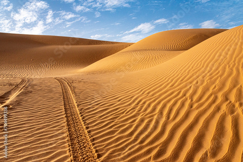 Landscape of Erg Admer in the Sahara desert, Algeria. A view of the dunes and ripples dug by the wind in the sand. The tracks of a 4x4 jeep sink into the dunes