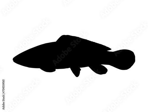 Bowfin Fish silhouette vector art