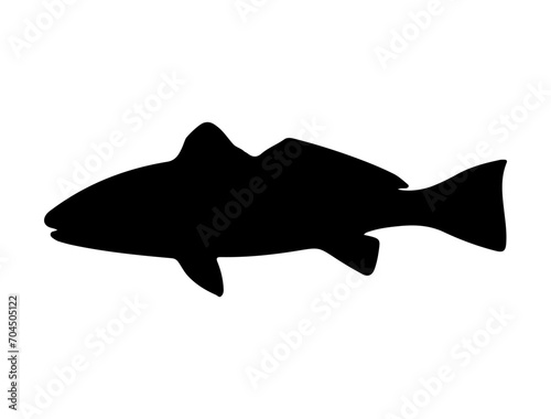 Red Drum Fish silhouette vector art white background