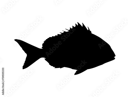 Snapper Fish silhouette vector art