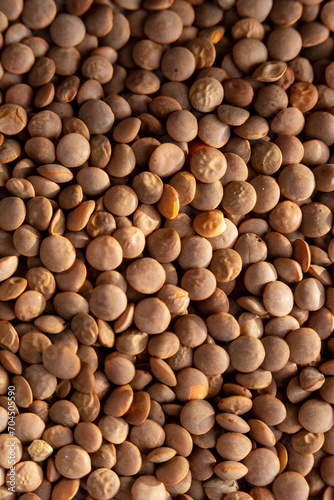 Dry organic raw lentils. Close-up.