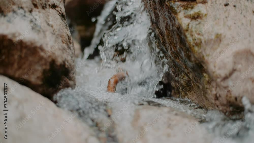 Pure Fresh Water Stream In Mountains Clean Water River Flowing