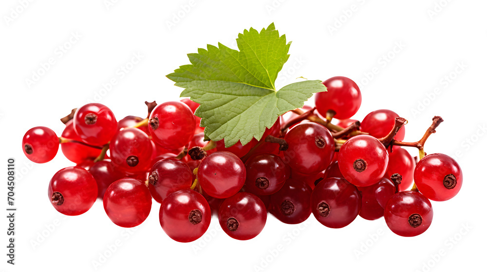 Currant fruit, transparent background, high-resolution image, small berries, various colors, currant fruit clipart, fresh produce illustration Currant fruit, transparent background, high-resolution image, small berries, various colors, currant fruit clipart, fresh produce illustration
