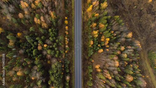 an empty highway through an autumn multicolored forest