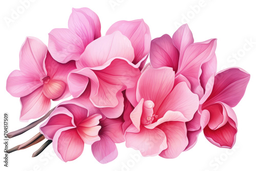 Orchid flower petals pink watercolor isolated illustration.