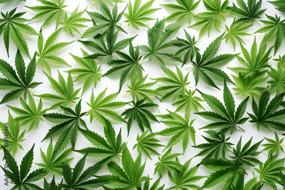 Green cannabis leaves background, Medical cannabis - obrazy, fototapety, plakaty 