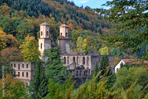 Klosterruine Frauenalb photo