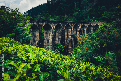 Nine Arch Bridge with Tea Fields in Ella