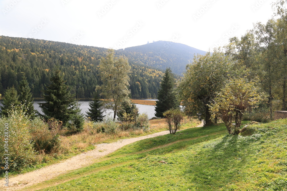 Blick auf den kleinen Arbersee im Bayerischen Wald	
