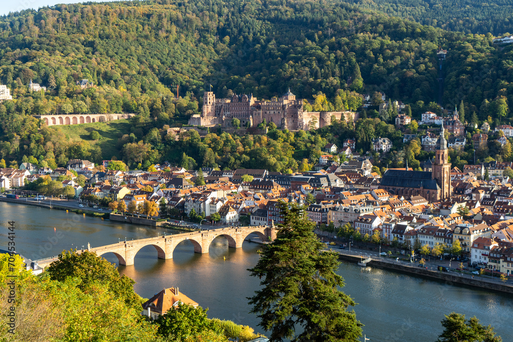 Fototapeta premium Germany, Heidelberg landscape old town