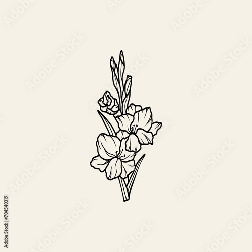 Line art gladiolus flower illustration