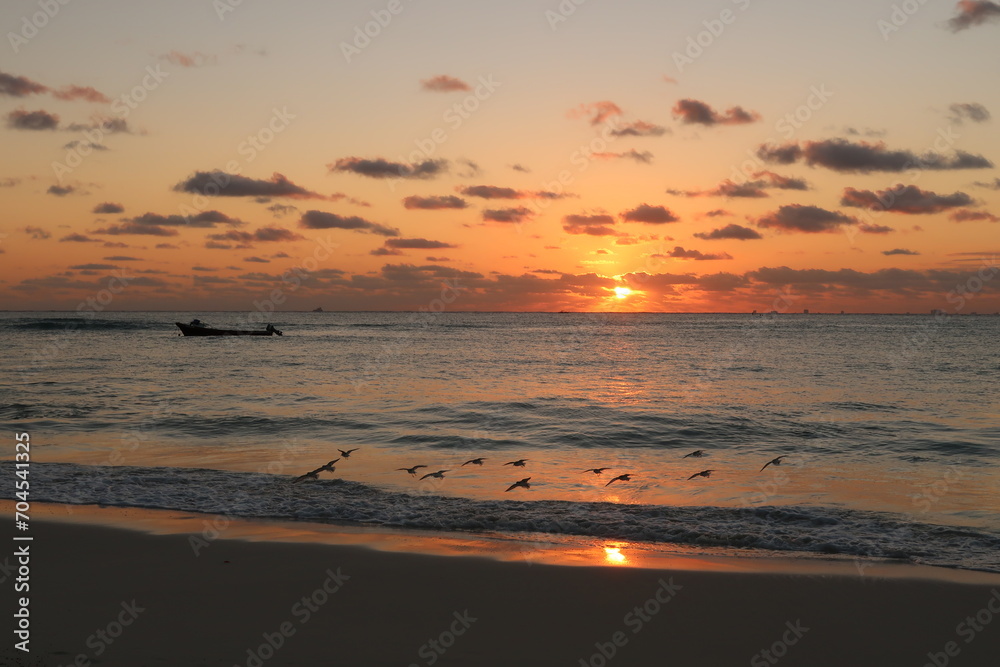 Little swarm of sand pipers landing at the beach of Playa del Carmen at sunrise, Mexico