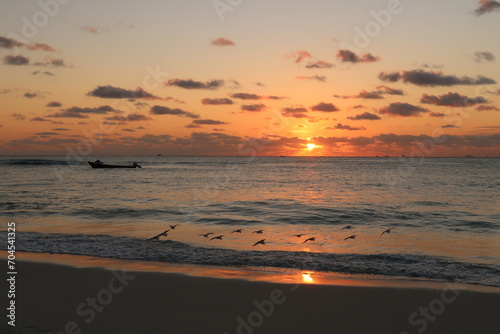 Little swarm of sand pipers landing at the beach of Playa del Carmen at sunrise, Mexico