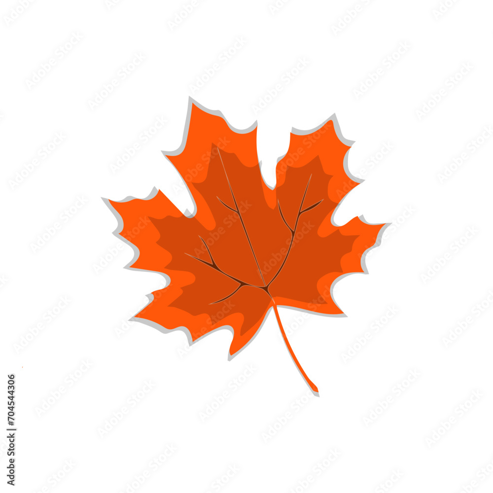 Autumn leaf. Autumn maple leaf isolated on a white background. Vector illustration
