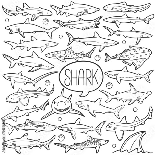 Shark Doodle Icons Black and White Line Art. Animals Clipart Hand Drawn Symbol Design.