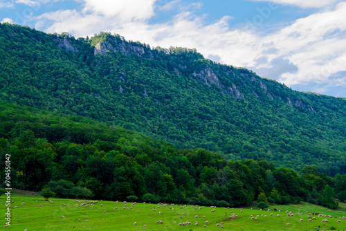 Sheep pasture near Muran in a Slovakian mountain