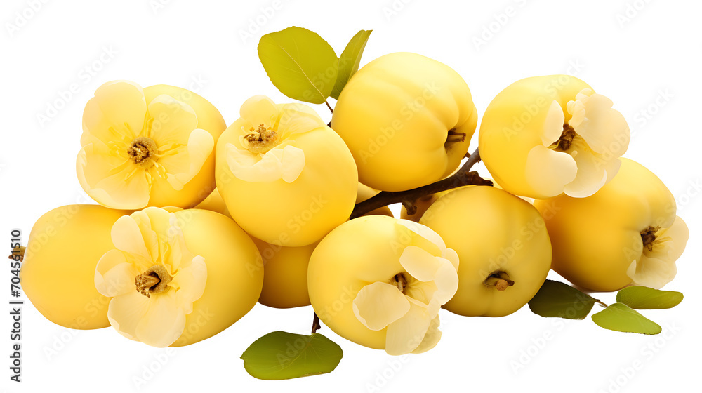 Quince Quince, transparent background, high-resolution image, golden-yellow ...