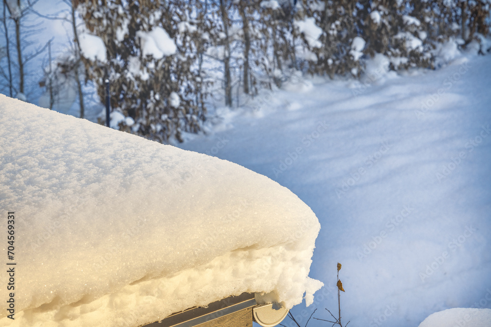 Close-up view of shed roof covered in snow against backdrop of garden on winter, sunny, frosty day. Sweden. Close-up view of shed roof covered in snow against backdrop of garden on winter, sunny, frosty day. Sweden.