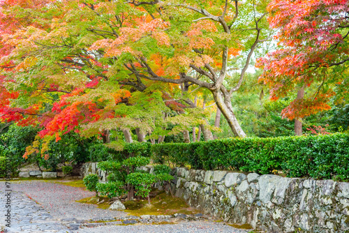 Foto Autumn landscape in Japan