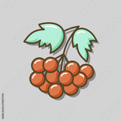 Rowan branch with berries and leaf vector icon