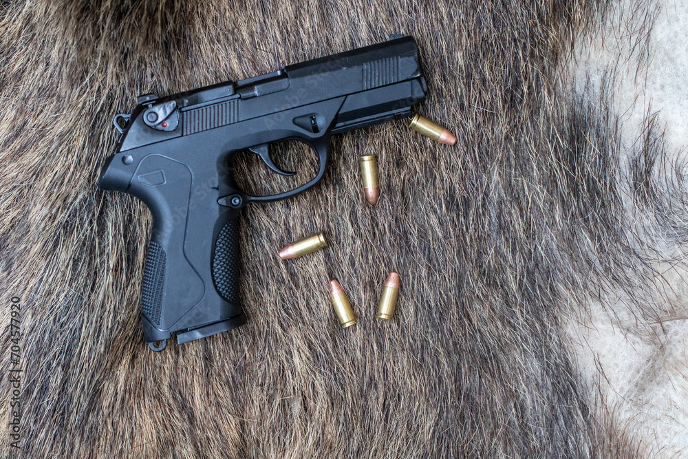 Obraz premium modern handgun