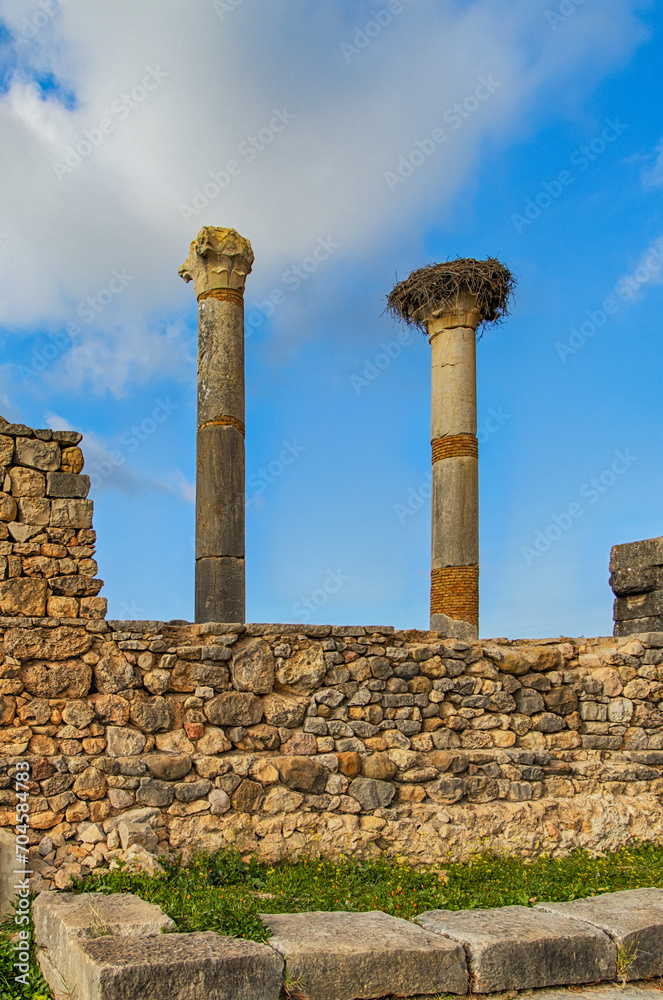 Volubilis, Morocco - touristic attraction and a Roman archaeological site situated near Meknes. Volubilis, Morocco - touristic attraction and a Roman archaeological site situated near Meknes.