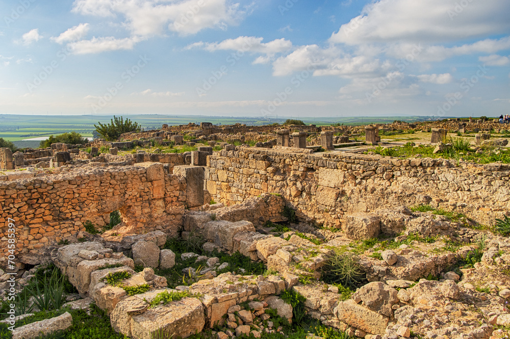 Volubilis, Morocco - touristic attraction and a Roman archaeological site situated near Meknes.