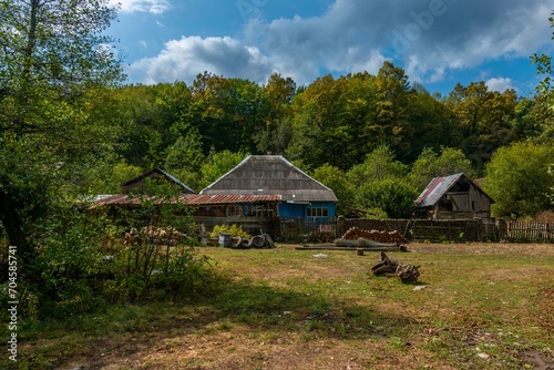 farmstead with one-story houses in the mountain forest of the Western Caucasus (southern Russia) on a sunny summer day