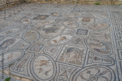 Floor mosaic in Orpheus house at archaeological Site of Volubilis.