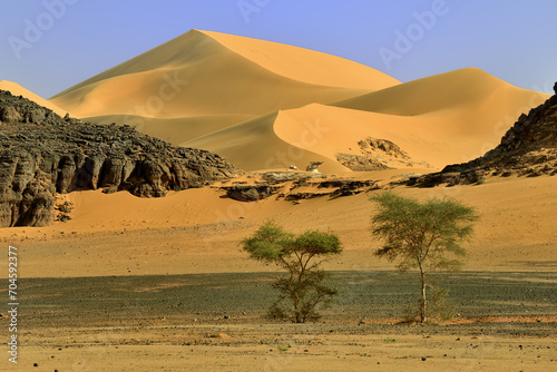 Fototapeta Naklejka Na Ścianę i Meble -  SAHARA DESERT WITH SAND DUNES AND ROCKS AROUND TADRART ROUGE AND DJANET OASIS IN SOUTHERN ALGERIA