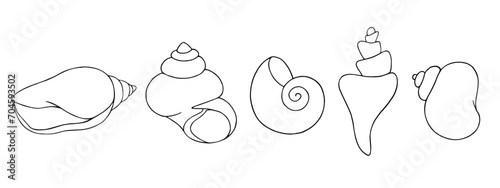 A set of linear sketches, contour coloring of seashells. Vector graphics.