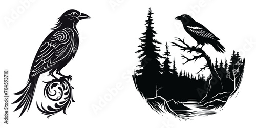 Set of black raven or crow birds, different poses, t-shirt design, vector illustration.