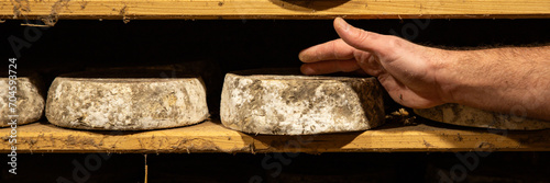 aged cheese in the cellar ready to eat eating cooking appetizer meal food snack on the table copy space food photo