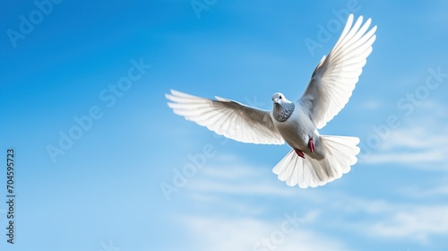 A dove flies in the blue sky